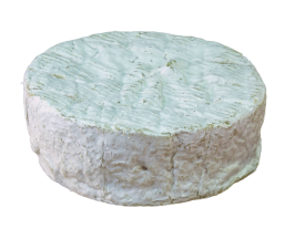 camembert