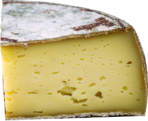 tomme-de-savoie